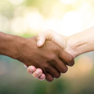 Redding B2B: Networking @ MTL (In-Person)