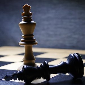 Adult Chess Club (In-person)