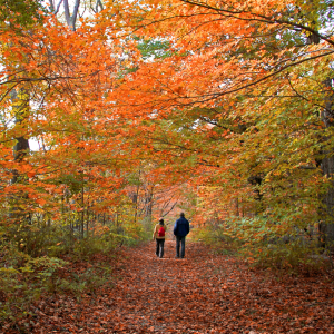 Redding Community Hiking Club ~ Highstead Hike (Off-Site)