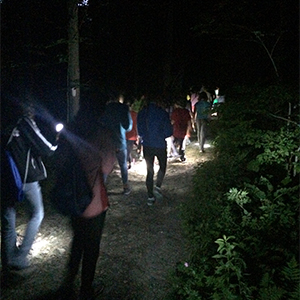 Teen Flashlight Walk at Topstone Park (Grades 5-12)