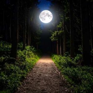 Redding Community Hiking Club ~ August Full Moon Walk (Off-Site)
