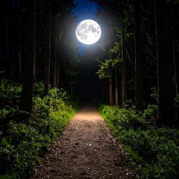 Redding Community Hiking Club ~ August Full Moon Walk (Off-Site)