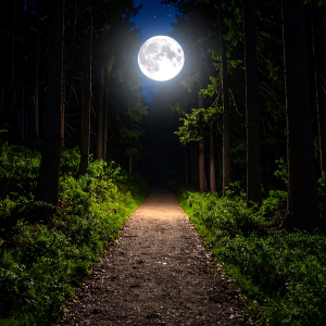 Redding Community Hiking Club ~ August Full Moon Walk (Off-Site)