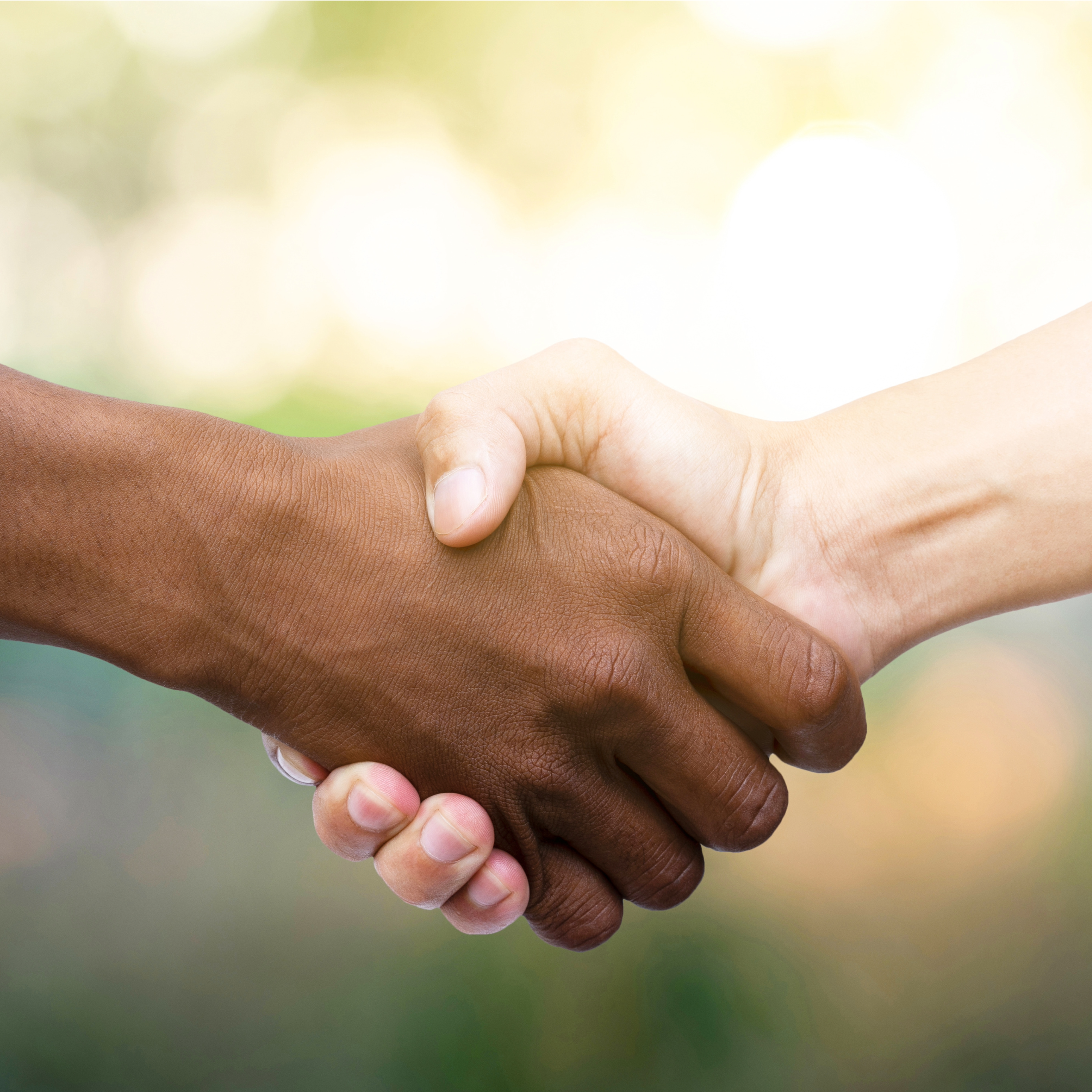 NEW! ~ Redding B2B: Networking @ MTL (In-Person)