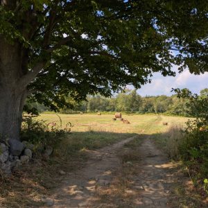 Opening Reception Photography Show: Redding Land Trust (In-Person)