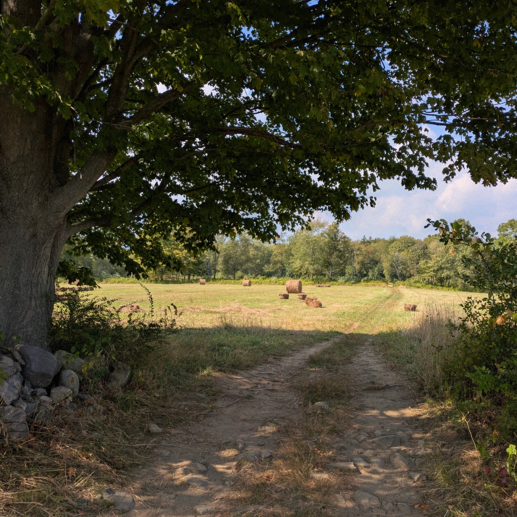 Opening Reception Photography Show: Redding Land Trust (In-Person)