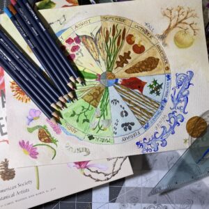 Nature’s Calendar: Create Your Own Phenology Wheel (In-Person)