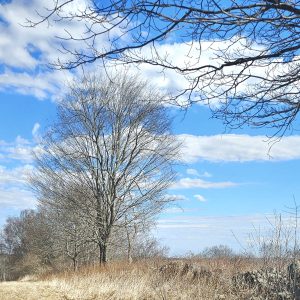 POSTPONED ~ Appreciating Our Natural Environment Series — Understanding & Protecting Our Local Ecosystem (Off-Site)