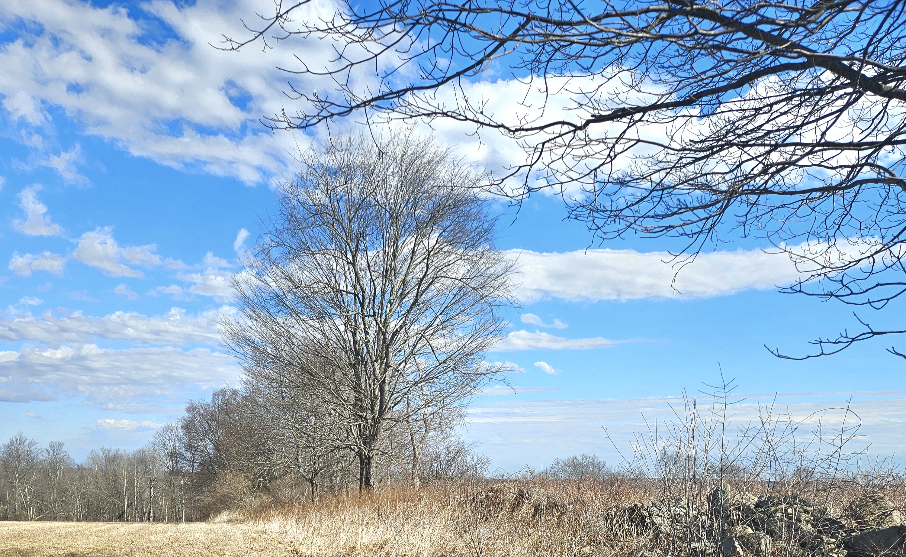 POSTPONED ~ Appreciating Our Natural Environment Series — Understanding & Protecting Our Local Ecosystem (Off-Site)
