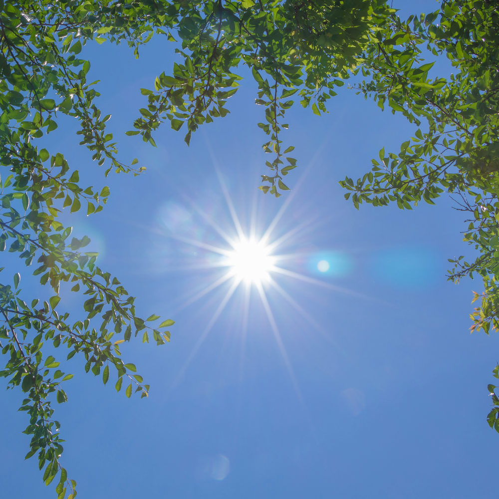 A Celebration of Summer Solstice: A Concert by Crystal Cymbalogy ~ Presented by the Allen & Helen Hermes Arts Series