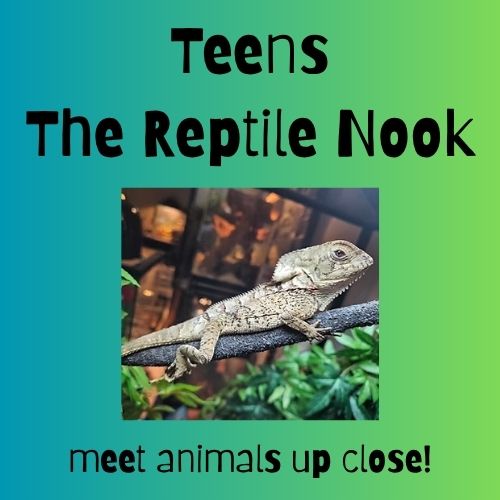 Teen Visit with the Reptile Nook (Grades 5 & up)
