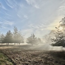Opening Reception Photography Show: 60th Anniversary Redding Land Trust (In-Person)