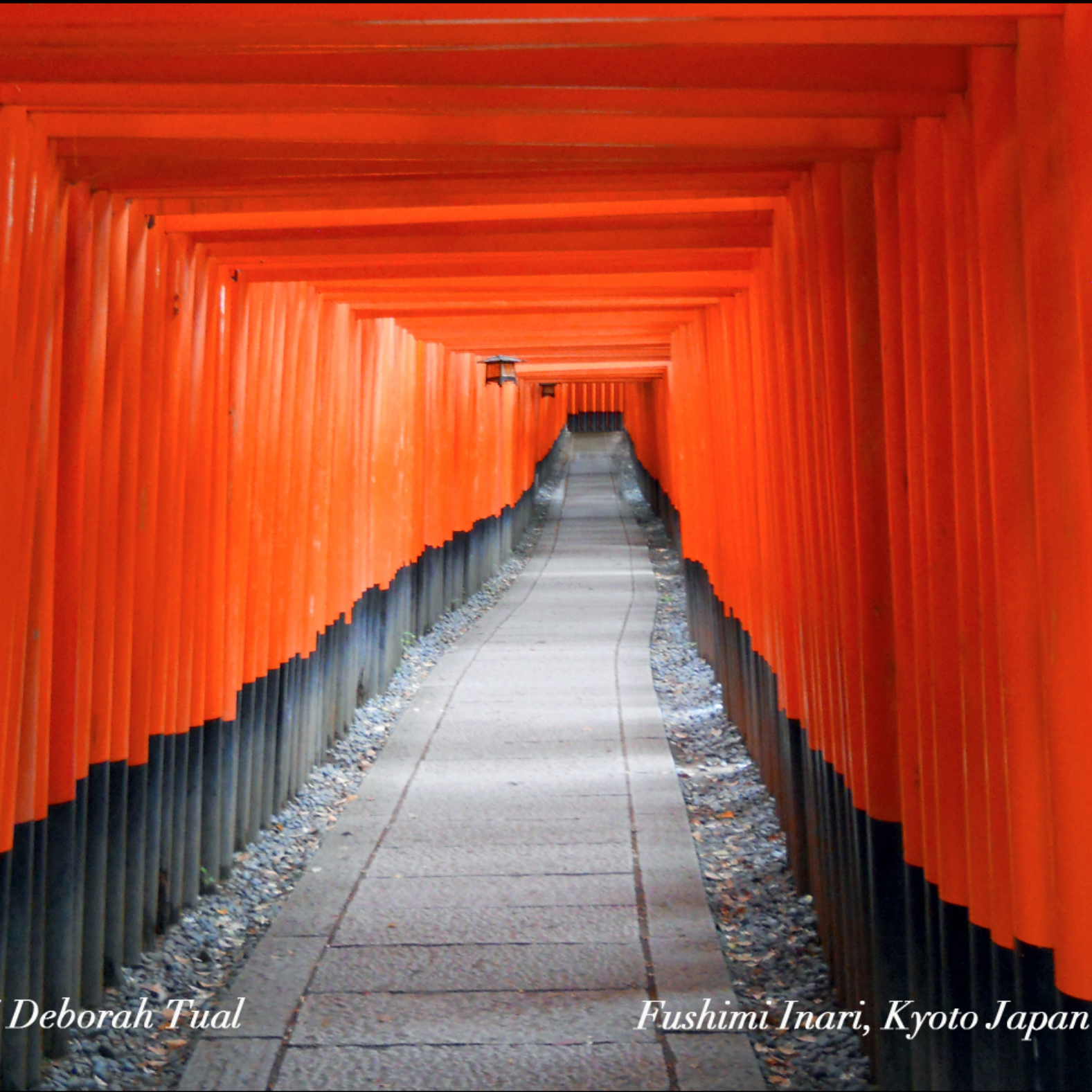 Travel Photography 101  (Virtual)