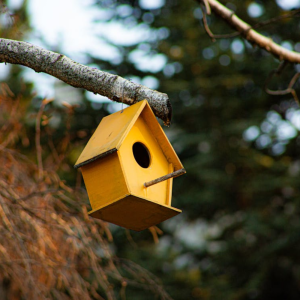 Bird Houses