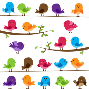 Summer's For the Birds!: Mini Movie & Activity (Ages 3-7)