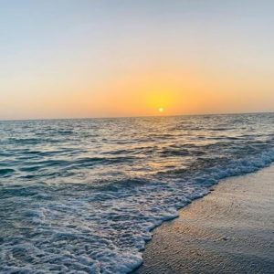 The Art of Calm: Meditation with Ancient Wisdom for Modern Lifestyles (Virtual)