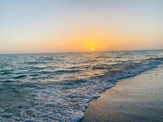 The Art of Calm: Meditation with Ancient Wisdom for Modern Lifestyles (Virtual)