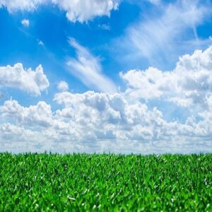 Midday Recharge: Spring Meditation Series