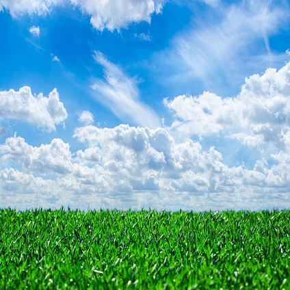 Midday Recharge: Spring Meditation Series