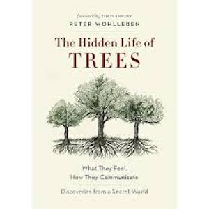 Nature Book Club — 'The Hidden Lives of Trees' (Off-Site)