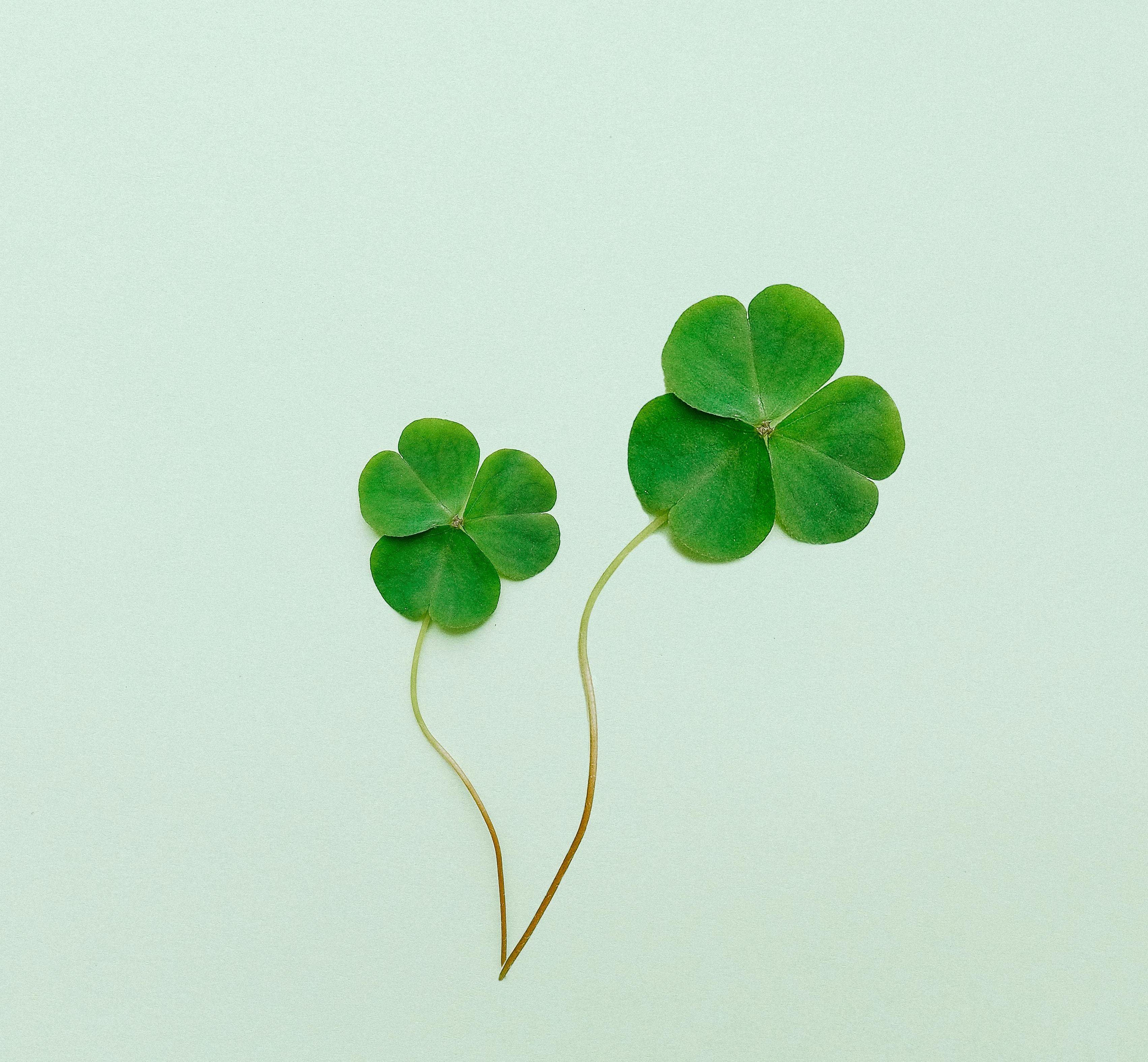 St. Patrick's Day Craft & Snack