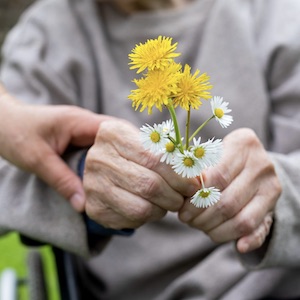 Communicating Effectively with Loved Ones Living with Dementia - presented by the Alzheimer’s Association (Virtual)