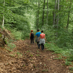 Spring and Summer Celebration - Redding Community Hiking Club (Off-Site)
