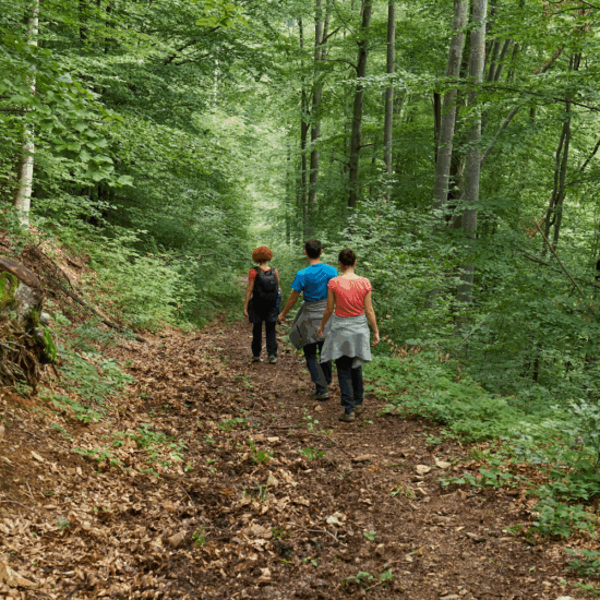 Spring Awakening Hikes — Redding Community Hiking Club (Off-Site)